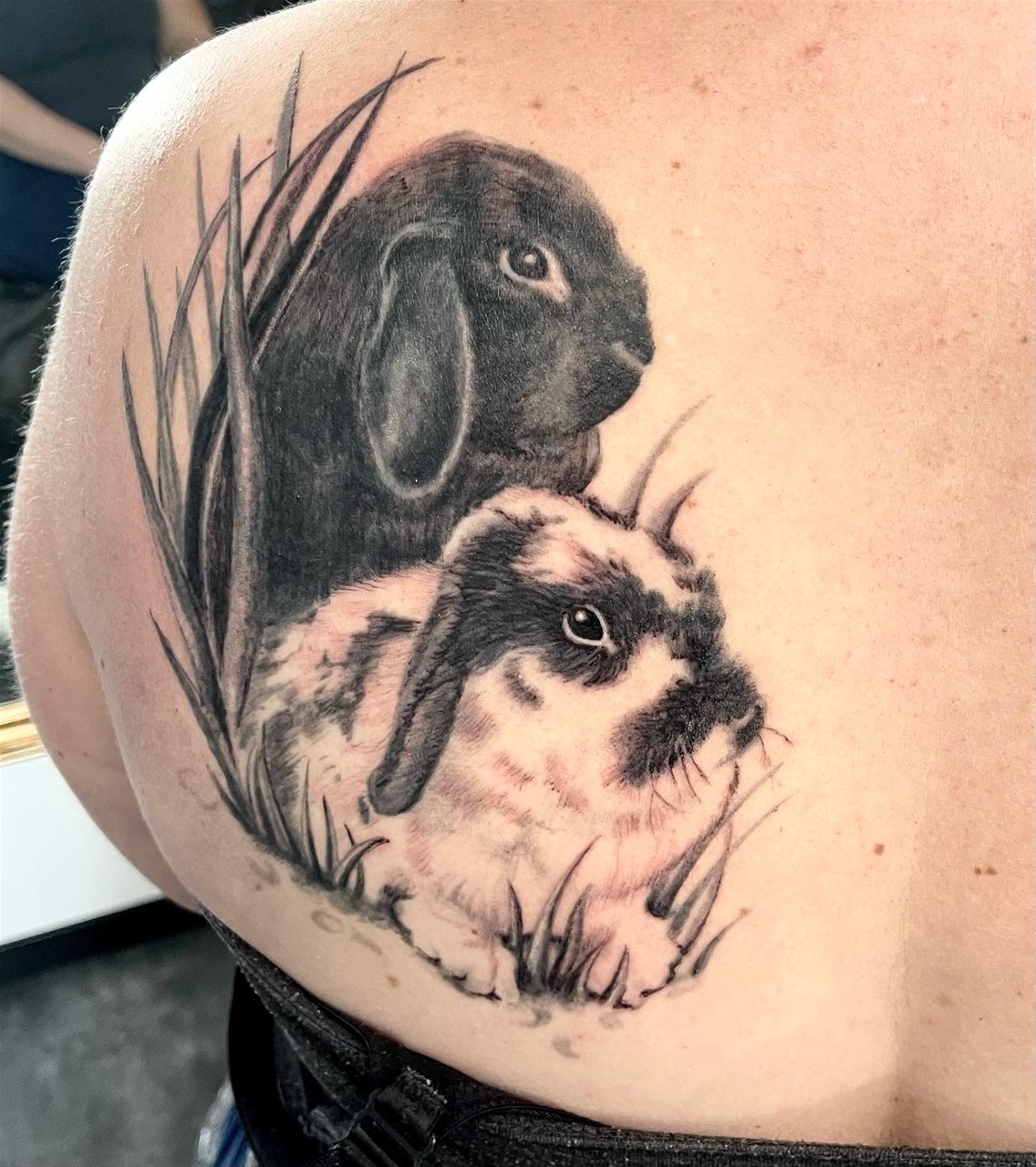 Cover Up